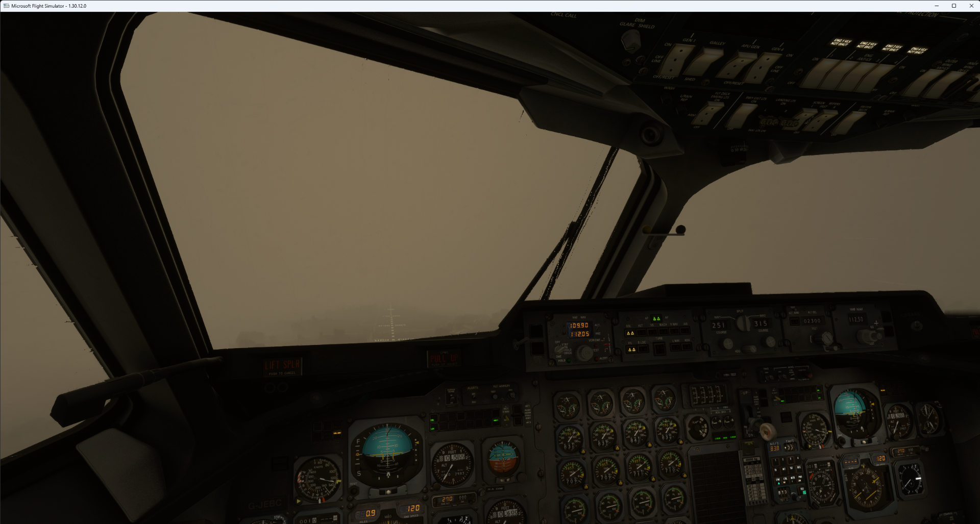 Microsoft Flight Simulator 11_03_2023 17_00_12.png