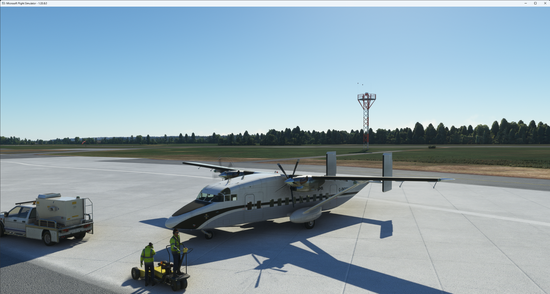 Microsoft Flight Simulator 25_06_2023 22_15_04 (Large).png
