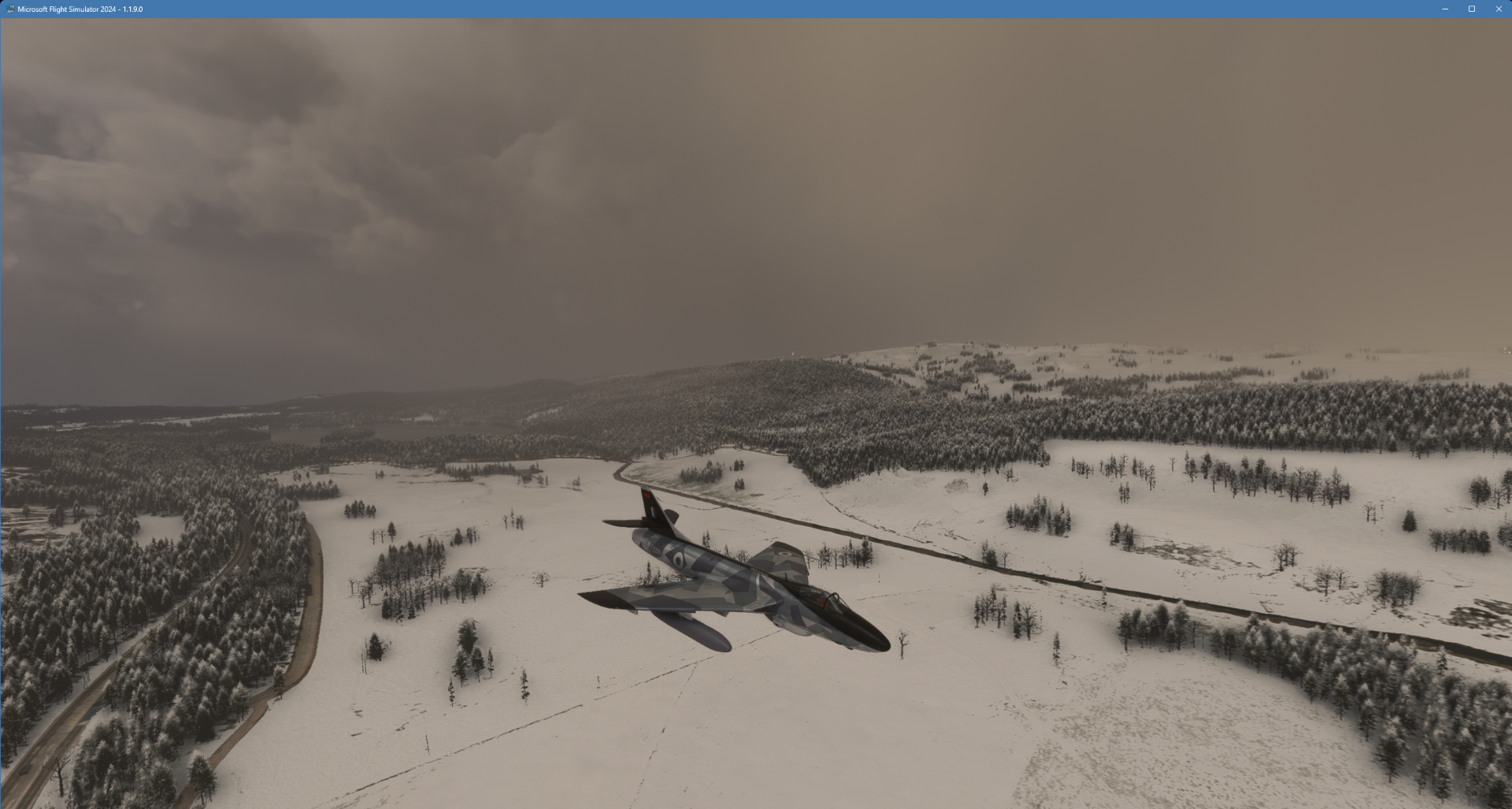 Microsoft Flight Simulator 2024 23_11_2024 23_06_42.png