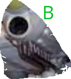 B 24-02-25.png