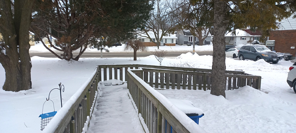 Snow_Jan_26.jpg