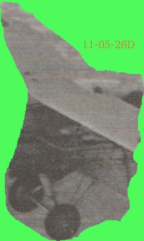 11-05-26D.jpg