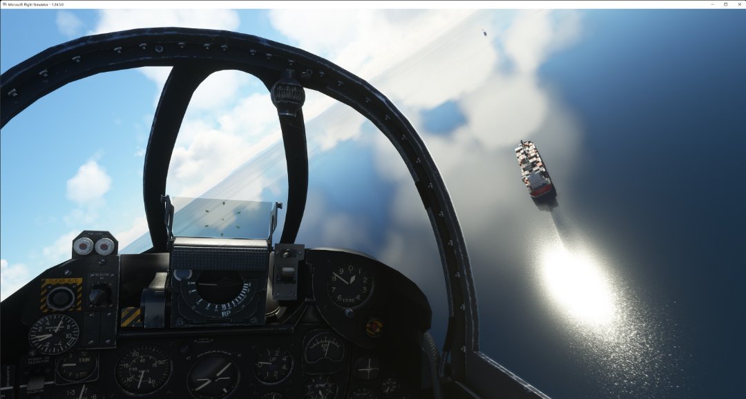 Microsoft Flight Simulator 24_03_2022 22_17_32.jpg