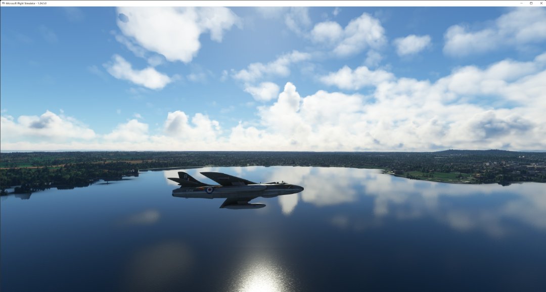 Microsoft Flight Simulator 24_03_2022 22_19_56.jpg