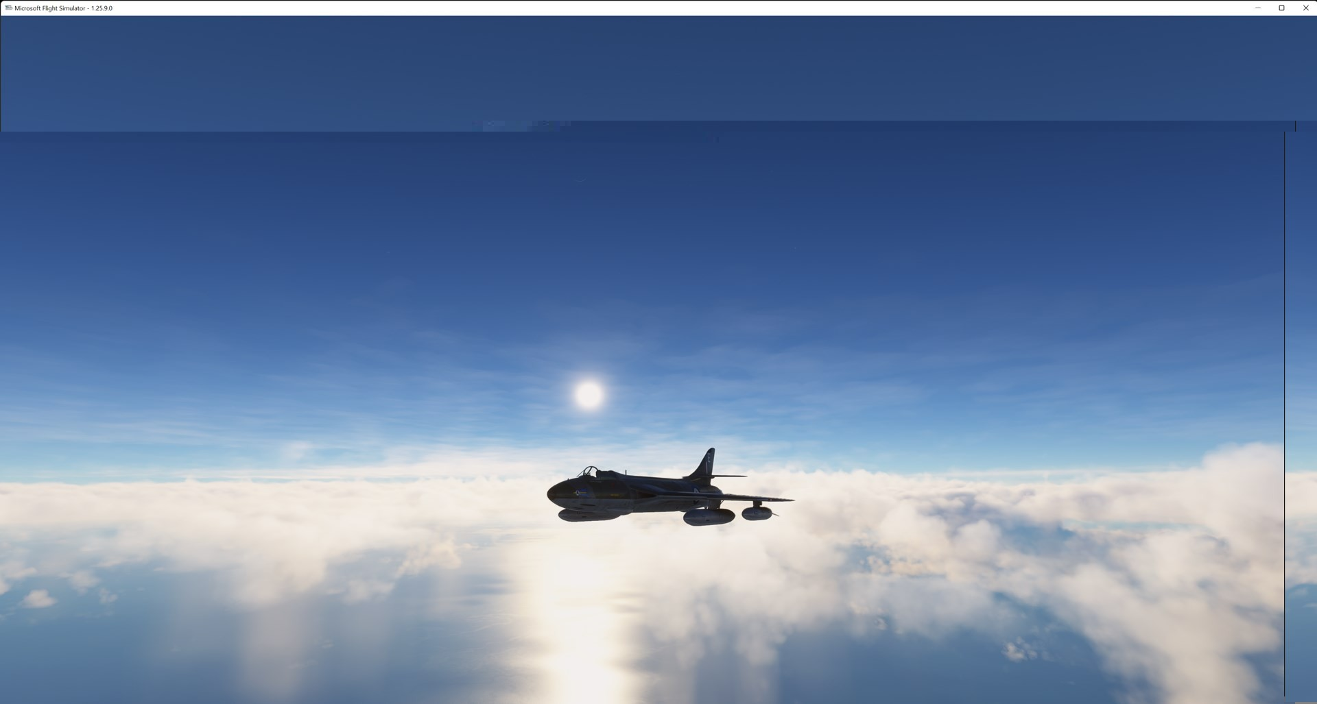 Microsoft Flight Simulator 01_06_2022 16_58_34.jpg