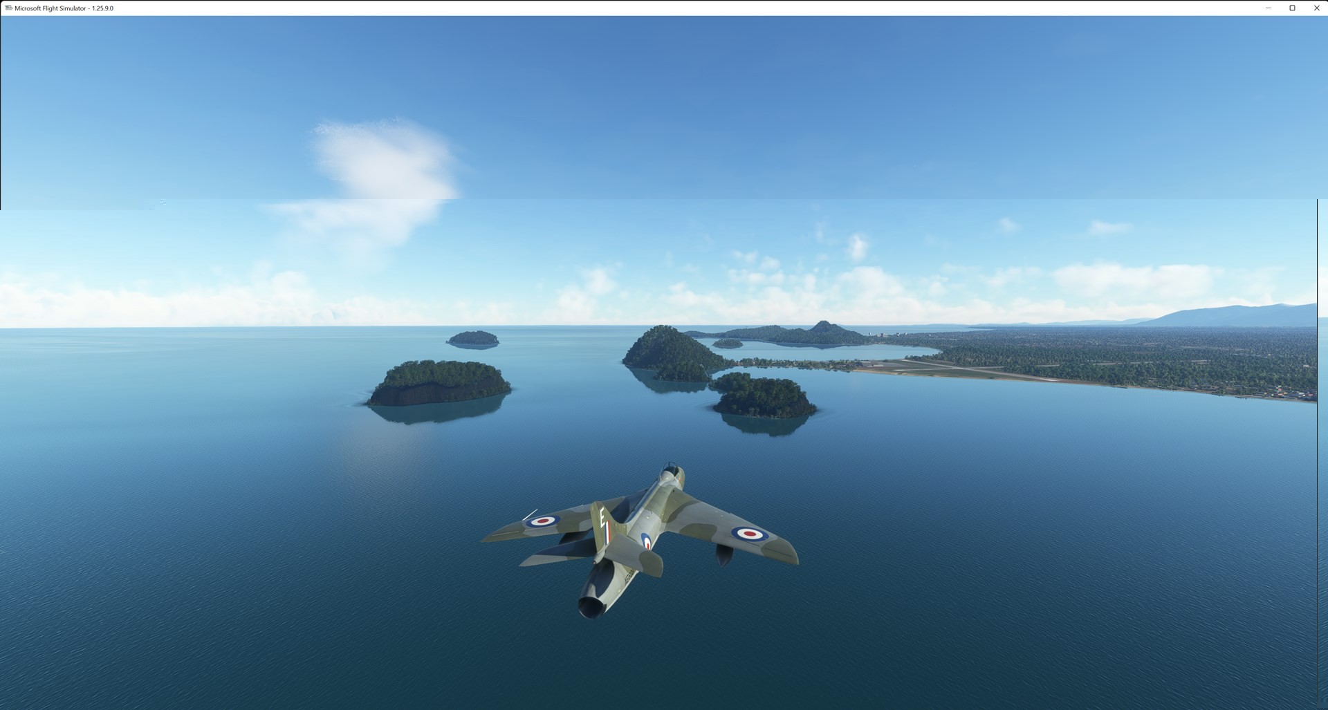 Microsoft Flight Simulator 06_06_2022 13_54_31.jpg